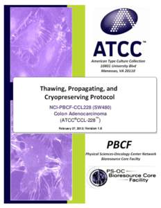 SOP:  Thawing, Propagation and Cryopreservation of NCI-PBCF-CCL228SW480)