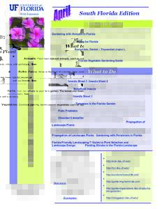 South Florida Edition What to Plant Annuals: Plant heat-tolerant annuals, such as coleus, vinca, and portulaca. See: Gardening with Annuals in Florida  Bulbs: Cannas thrive in the heat of summer. New varieties have color