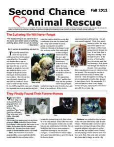 Second Chance Animal Rescue FallSecond Chance Animal Rescue is a nonprofit, 501(c)(3) all-volunteer organization dedicated to rescuing, caring for and placing homeless dogs and cats. We educate the