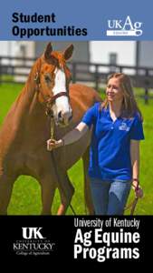 Student Opportunities University of Kentucky  Ag Equine