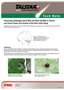 ®  250 EC INSECTICIDE/MITICIDE Te c h N o t e Controlling Redlegged Earth Mite and Blue Oat Mite in Canola