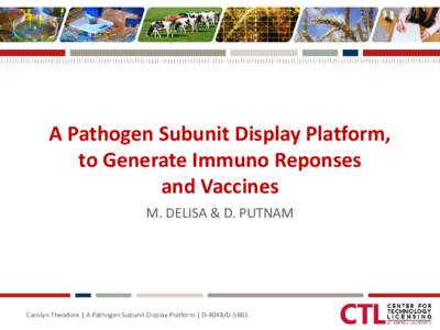 A Pathogen Subunit Display Platform, to Generate Immuno Reponses and Vaccines M. DELISA & D. PUTNAM  Carolyn Theodore | A Pathogen Subunit Display Platform | D-4048/D-5861