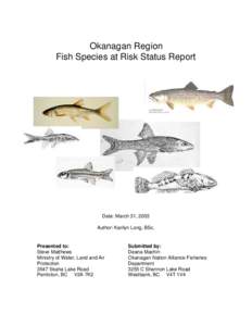 Okanagan Region Fish Species at Risk Status Report Date: March 31, 2003 Author: Karilyn Long, BSc.