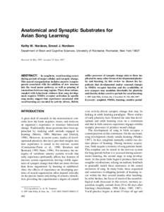 Anatomical and Synaptic Substrates for Avian Song Learning Kathy W. Nordeen, Ernest J. Nordeen Department of Brain and Cognitive Sciences, University of Rochester, Rochester, New York[removed]Received 16 May 1997; accepte