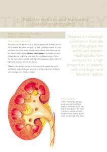 0631 SER Kidney book D&D
