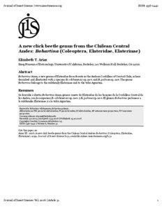 Insect anatomy / Elateridae / Beetle / Agriotes / Mesothorax / Insect wing / Click beetle / Insect / Phyla / Protostome / Taxonomy