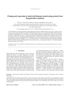 Ribosome-inactivating protein from Bougainvillea xbuttiana  91 Cloning and expression of antiviral/ribosome-inactivating protein from Bougainvillea xbuttiana