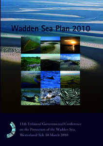 Wadden Sea Plan[removed]11th Trilateral Governmental Conference on the Protection of the Wadden Sea, Westerland/Sylt 18 March 2010