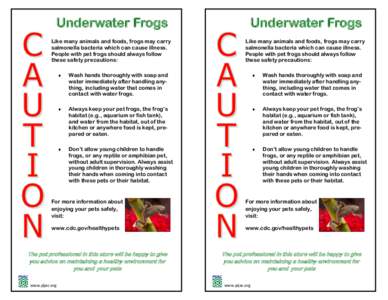 Underwater Frogs  Underwater Frogs Like many animals and foods, frogs may carry salmonella bacteria which can cause illness.