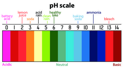 pH scale healthy lemon acid juice rain clean lake