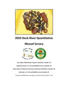 2010 Duck River Quantitative Mussel Survey Don Hubbs, TWRA Mussel Program Coordinator, Camden. TN Stephanie Chance, U.S. Fish and Wildlife Service, Cookeville, TN Leslie Colley, The Nature Conservancy, Duck River Field O