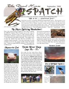 DHRSP Newsletter Sep 09.pmd