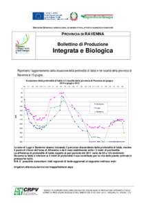 DIREZIONE GENERALE AGRICOLTURA, ECONOMIA ITTICA, ATTIVITÀ FAUNISTICO-VENATORIE  PROVINCIA DI RAVENNA Bollettino di Produzione