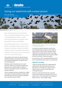 Saving our waterbirds with nuclear physics By Dr Kate Brandis Joint Research Fellow, UNSW and ANSTO Straw-necked Ibis in flight.