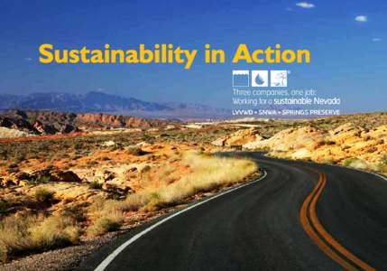 Sustainability in Action  What does sustainability mean to us? Sustainability means taking environmentally responsible actions that meet the needs of the present without compromising the