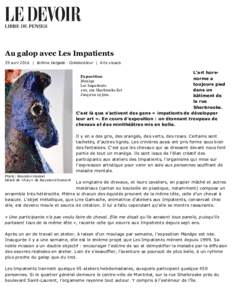 Au galop avec Les Impatients 29 avril 2016  |  Jérôme Delgado ­ Collaborateur  |  Arts visuels L’art hors­ norme a toujours pied