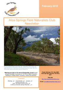 nta Drive by Mat GilfedderThis  February 2015 Alice Springs Field Naturalists Club Newsletter