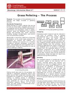 Microsoft Word - Biomass Info Sheet #7 Pelleting