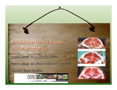 Producing Heavy Lamb… but at what price? André Charest , d.t.a. CEPOQ, Ovipro Manon Lepage, agr. Sheep production consultant Shawville, March[removed]