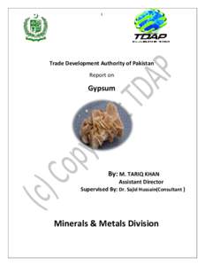 1  Trade Development Authority of Pakistan Report on  Gypsum