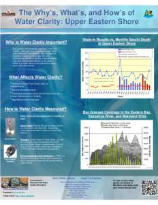 The Why’s, What’s, and How’s of Water Clarity: Upper Eastern Shore Why is Water Clarity Important? Bay grasses, like terrestrial vegetation, need light to grow. More light due to increased water clarity aids underw