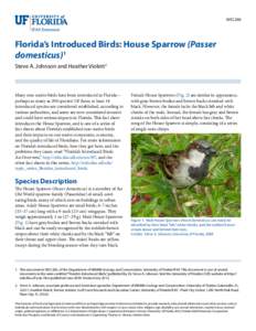 WEC260  Florida’s Introduced Birds: House Sparrow (Passer domesticus)1 Steve A. Johnson and Heather Violett2