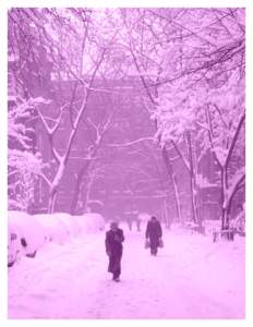 Winter Weather Chapter 4.6 The winter months in New York City can be brutal. They are often characterized by periods of extremely cold temperatures and by storms that haul in large amounts of snow, ice, sleet, and freez