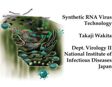 Synthetic RNA Virus Technology Takaji Wakita Dept. Virology II National Institute of Infectious Diseases