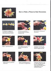 How to Make a Plumeria Hair Decoration  You will need a toothpick and five flowers (4 of one color and 1 different color for center flower).