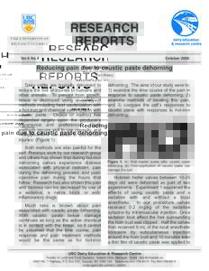 Reducing Pain due to Caustic Paste Dehorning