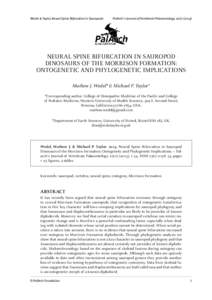 Wedel & Taylor, Neural Spine Bifurcation in Sauropods  PalArch’s Journal of Vertebrate Palaeontology, [removed]NEURAL SPINE BIFURCATION IN SAUROPOD DINOSAURS OF THE MORRISON FORMATION: