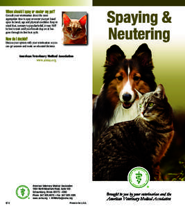 When should I spay or neuter my pet?  Consult your veterinarian about the most appropriate time to spay or neuter your pet based upon its breed, age and physical condition. Keep in mind that, contrary to popular belief, 
