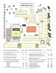 Biology / Ageratina riparia / Shrub / Bed / Lantana / Lippia / Botany / Flora of Cuba / Invasive plant species