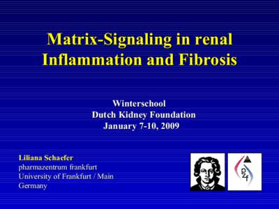 Matrix-Signaling in renal Inflammation and Fibrosis Winterschool Dutch Kidney Foundation  January 7-10, 2009 Liliana Schaefer