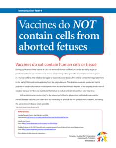 Vaccines do not contain human cells or tissue. During purification of the vaccine all cells are removed. Human cell lines are used in the early stages of production of some vaccines* because viruses need a living cell to