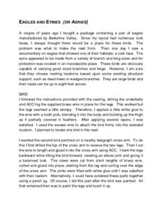 EAGLES AND EYRIES (OR AERIES) A couple of years ago I bought a package containing a pair of eagles manufactured by Berkshire Valley. Since my layout had numerous rock faces, I always thought there would be a place for th