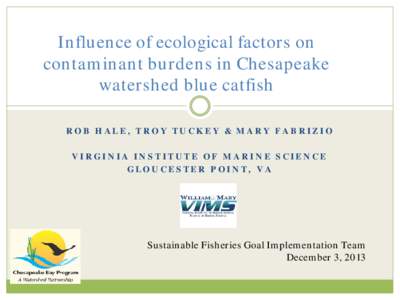 Influence of ecological factors on contaminant burdens in Chesapeake watershed blue catfish ROB HALE, TROY TUCKEY & MARY FABRIZIO VIRGINIA INSTITUTE OF MARINE SCIENCE GLOUCESTER POINT, VA