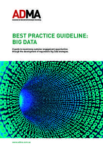 Association for Data-driven Marketing & Advertising  BEST PRACTICE GUIDELINE: BIG DATA A guide to maximising customer engagement opportunities through the development of responsible Big Data strategies.