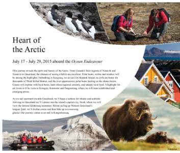 Heart of the Arctic July 17 - July 29, 2015 aboard the Ocean Endeavour This journey reveals the spirit and beauty of the Arctic. From Canada’s Inuit regions of Nunavik and Nunavut to Greenland, the chances of seeing wi