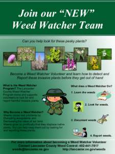 Join our “NEW” Weed Watcher Team Can you help look for these pesky plants? Become a Weed Watcher Volunteer and learn how to detect and Report these invasive plants before they get out of hand