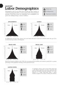 ANATOMY  Labor Demographics Median Age