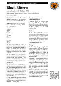 Ixobrychus flavicollis - profile (PDF 180 KB)