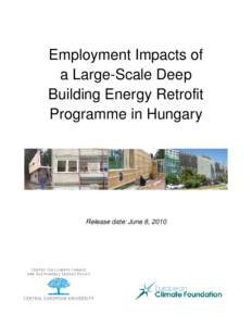 Employment Impacts of a Large-Scale Deep Building Energy Retrofit Programme in Hungary  Release date: June 8, 2010