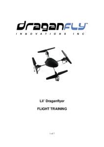 Lil-Draganflyer-Flight-Training