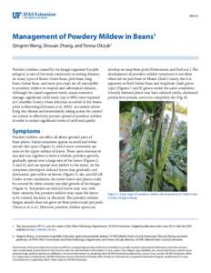 PP311  Management of Powdery Mildew in Beans1 Qingren Wang, Shouan Zhang, and Teresa Olczyk2  Powdery mildew, caused by the fungal organism Erysiphe