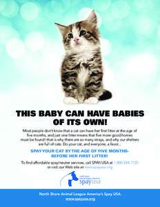 This baby can have babies of its own! Most people don’t know that a cat can have her first litter at the age of five months, and just one litter means that five more good homes must be found! that is why there are so m