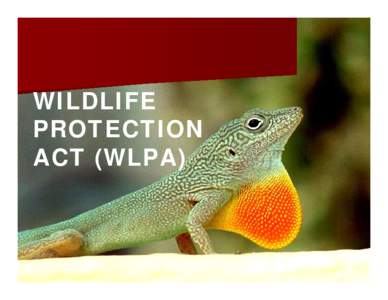 Microsoft PowerPoint - _Wild Life Protection Act (1.2)