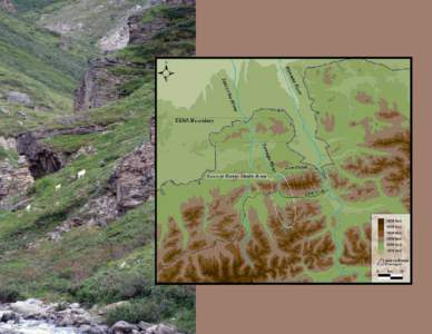 Denali National Park and Preserve / Archaeological field survey / Anthropology / Archaeology / Savage River