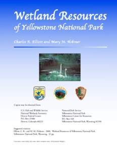 Greater Yellowstone Ecosystem / Yellowstone Lake / Tower Fall / Yellowstone River / Hayden Valley / National park / Fort Yellowstone / Expeditions and the protection of Yellowstone / Yellowstone National Park / Wyoming / Geography of the United States