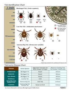 Medicine / Lyme disease / Rocky Mountain spotted fever / Tick / Dermacentor variabilis / Amblyomma americanum / Ehrlichiosis / Babesiosis / Spotted fever / Tick-borne diseases / Microbiology / Biology